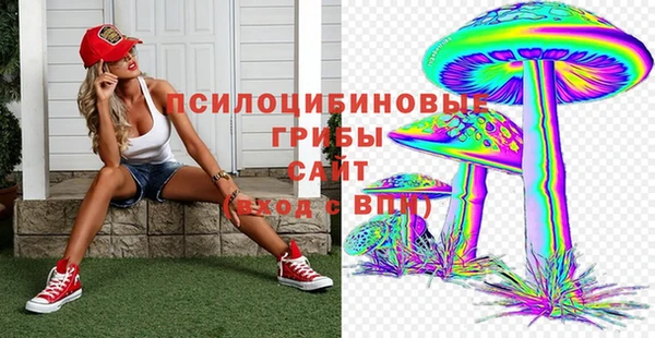ECSTASY Аркадак