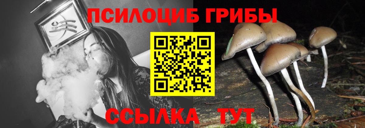 Усинск  Галлюциногенные грибы мицелий  Псилоцибиновые грибы MAGIC MUSHROOMS  Вход с VPN 